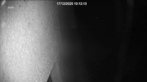 Caméra IP - Reino Unido