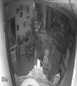 Caméra IP - Russian Federation