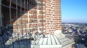 Caméra IP - Belgium