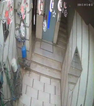 Caméra IP - Égypte