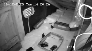 Caméra IP - Denmark