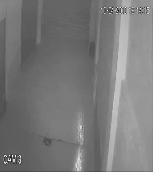 Caméra IP - Italien