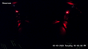 Caméra IP - United States of America