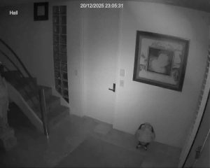 Caméra IP - Nueva Zelanda