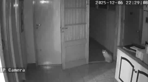 Caméra IP - Argentina