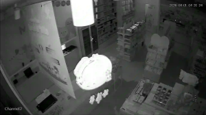 Caméra IP - Malaysia