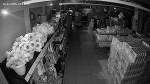 Caméra IP - Russian Federation