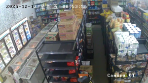 Caméra IP - Suriname