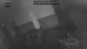 Caméra IP - South Korea