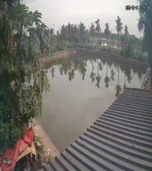 Caméra IP - Vietnam