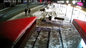 Caméra IP - Lituanie