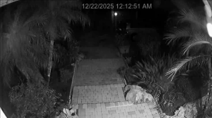 Caméra IP - United States of America