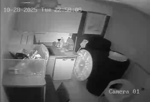 Caméra IP - Puerto Rico