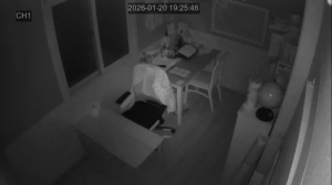 Caméra IP - South Korea