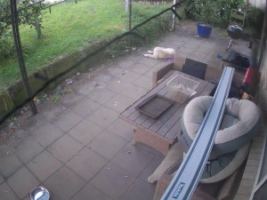 Caméra IP - Nuova Zelanda