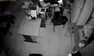 Caméra IP - Russian Federation