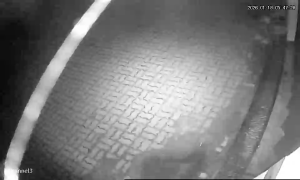 Caméra IP - Portugal