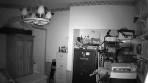 Caméra IP - États-Unis d'Amérique