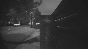 Caméra IP - Nueva Zelanda