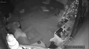 Caméra IP - United States of America