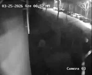 Caméra IP - Hungary