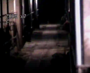 Caméra IP - Finland