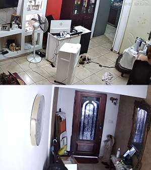 Caméra IP - Panama