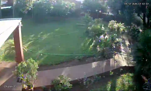 Caméra IP - Paraguay