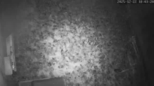 Caméra IP - Norvegia