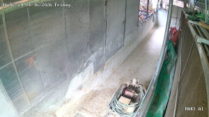 Caméra IP - Vietnam