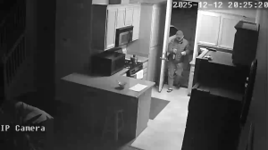 Caméra IP - États-Unis d'Amérique