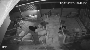 Caméra IP - Islande