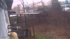 Caméra IP - Bulgarien