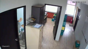 Caméra IP - Malesia