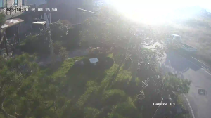 Caméra IP - South Korea