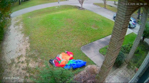 Caméra IP - United States of America