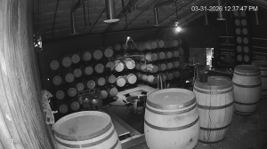 Caméra IP - United States of America