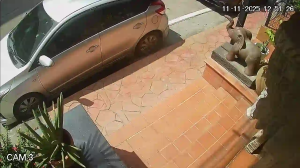 Caméra IP - Thailand