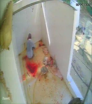 Caméra IP - United Arab Emirates