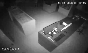 Caméra IP - Francia