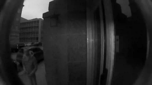 Caméra IP - Schweden