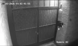 Caméra IP - Allemagne