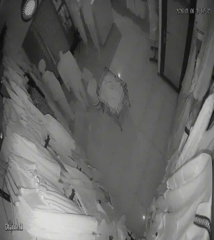 Caméra IP - Algérie