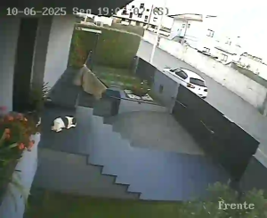 Caméra IP - Portugal