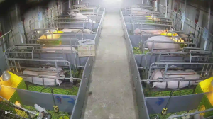 Caméra IP - República de Corea