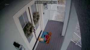 Caméra IP - United States of America