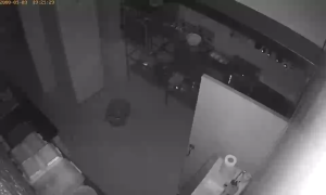 Caméra IP - Moldova, Republic of