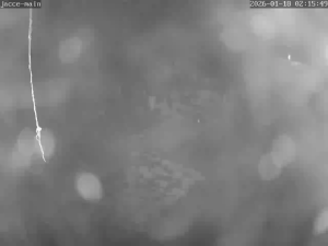 Caméra IP - Germany