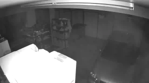 Caméra IP - United States of America