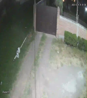 Caméra IP - Mexique